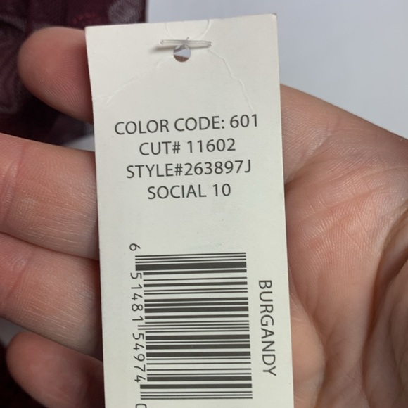 Blu Sage Burgundy Lace Dress with Sheer Details - Picture 6 of 11